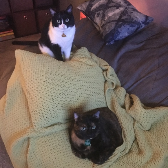 Meet your Posher, Anabel - Picture 2 of 2